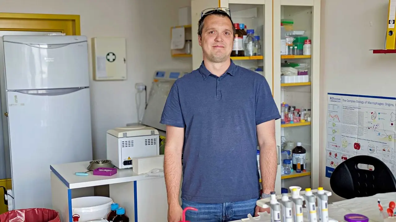 New Patient-Derived Biobank Opens Door to Precision Oncology in Pancreatic Cancer